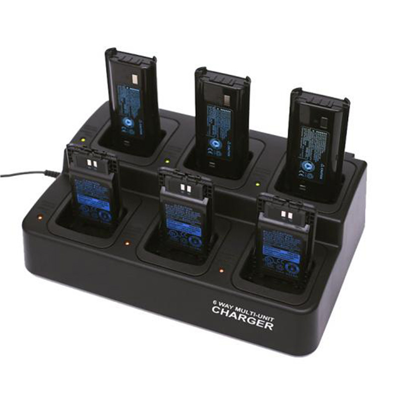 6 Way Intelligen Charger