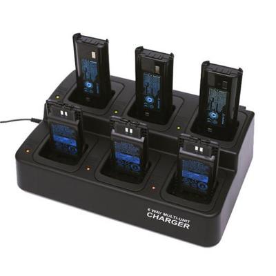 6 Way Intelligent Charger